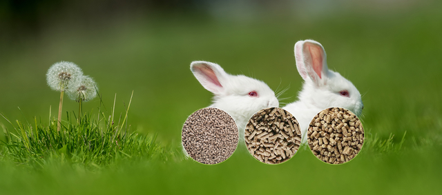 Sweet Potato Pellets