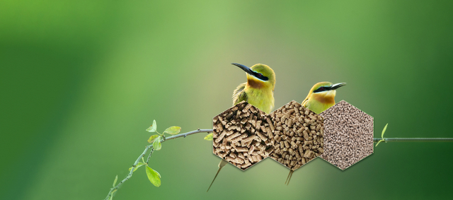 Products : sweet potato pellets